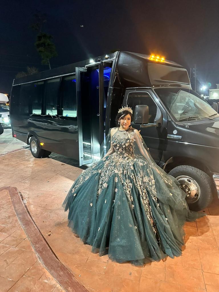 girl-in-party-dress-standing with-party bus